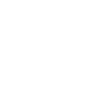 Outlined Graphic fresh water crayfish