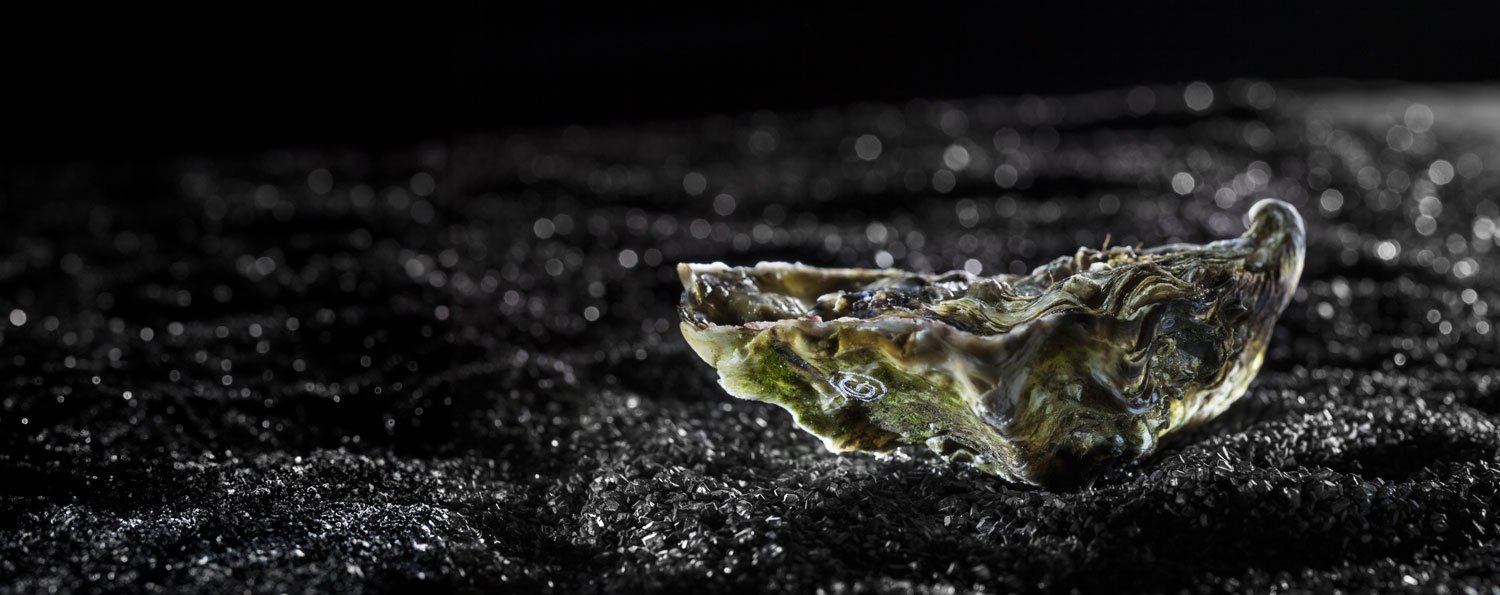 Oysters, Mytilos