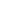 American - Canadian lobster