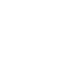 Fresh water crayfish