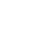 Oysters